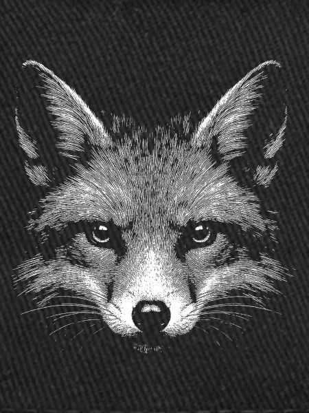 Renard roux