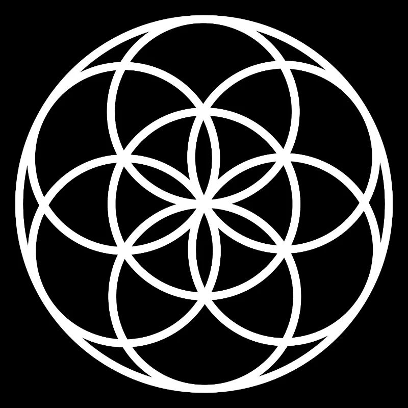 Samen des Lebens – Heilige Geometrie