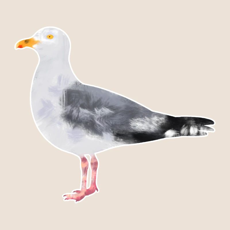 Silbermöve.1