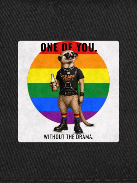 Funny Gay Pride Meerkat Design