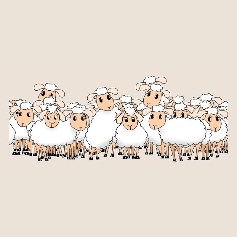 Sheep