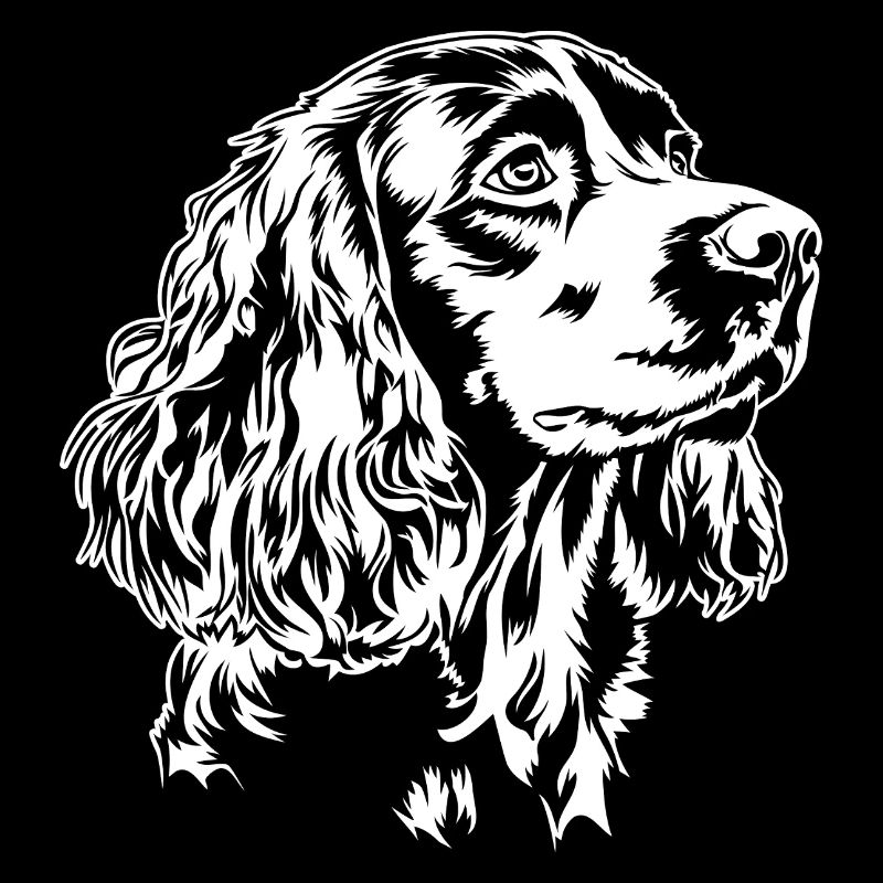 Boykin Spaniel Portrait Hunde Hund Wilsigns