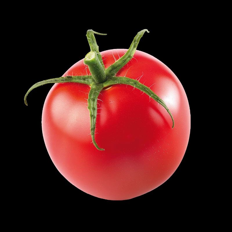 Tomate