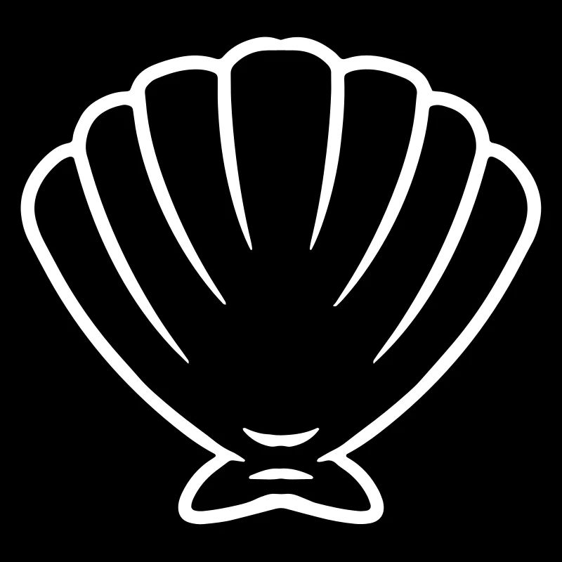 mer coquillage sea shell créatures marines idée cadeau