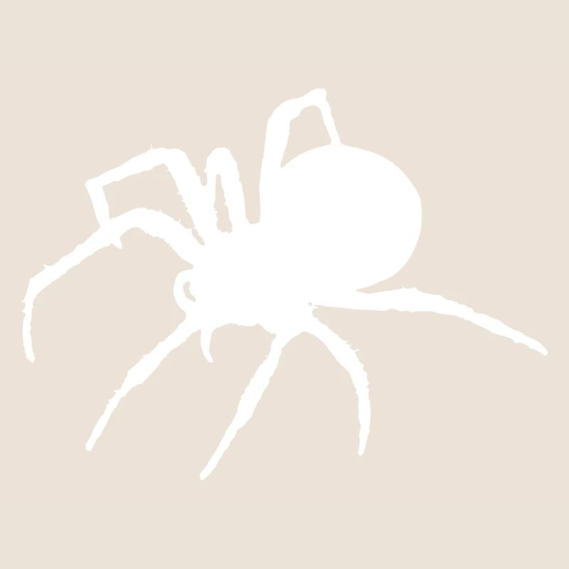 araignée