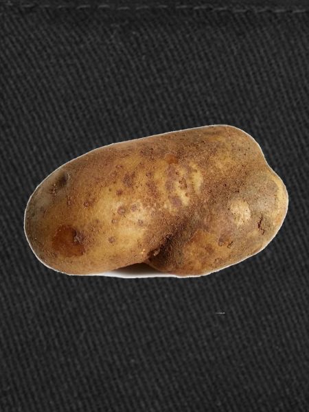 Pommes de terre