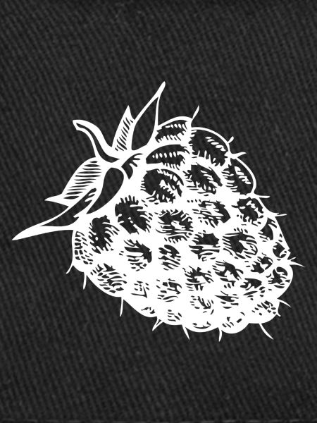 Framboise fruit sain sain