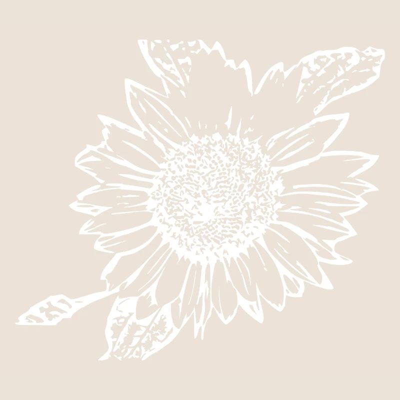 Sonnenblume weiß