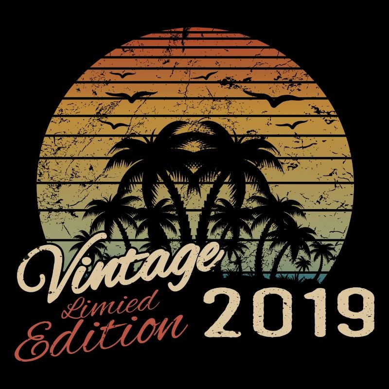 Vintage 2019 Birthday Gift 2019 Retro 2019