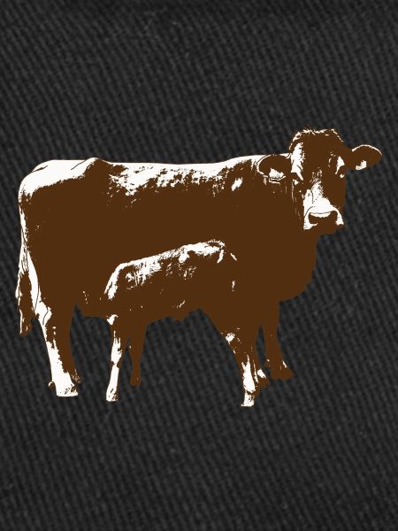 Vache avec veau