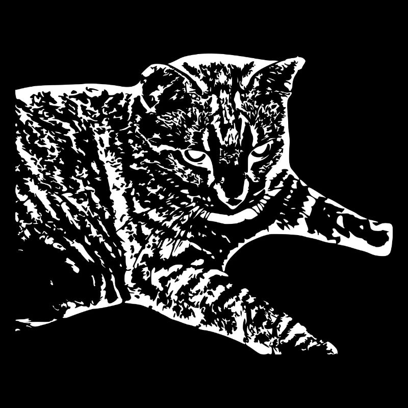 chat blanc chat blanc chemise cadeau