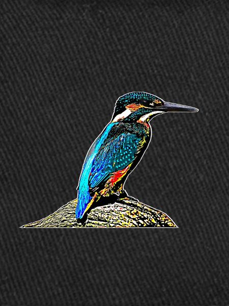 Kingfisher