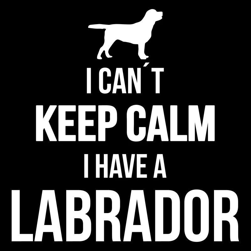 LABRADOR ne peut pas rester calme