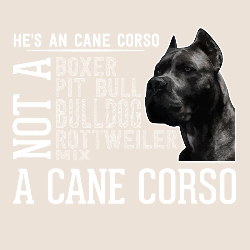 Cane Corso