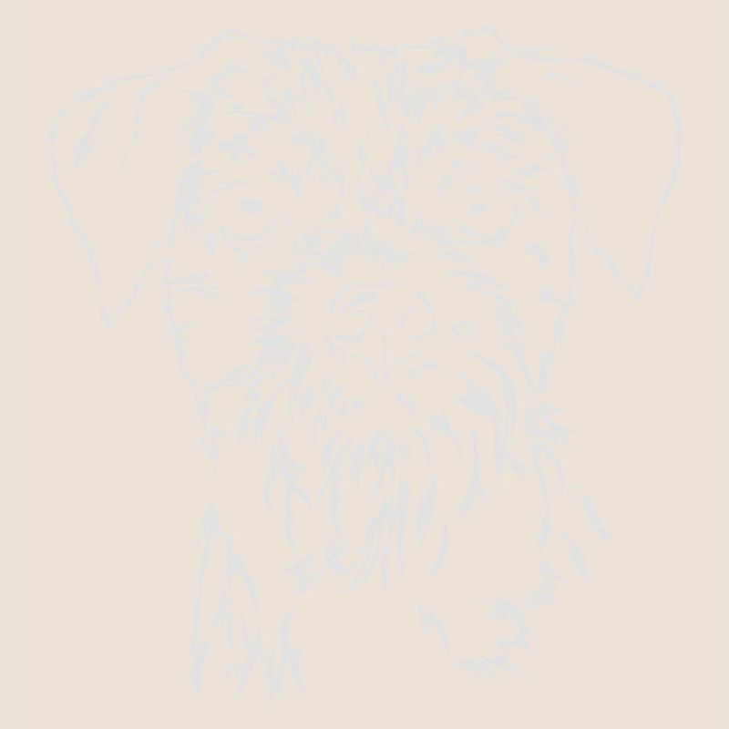 BORDER TERRIER Portrait DeVils chien Chien