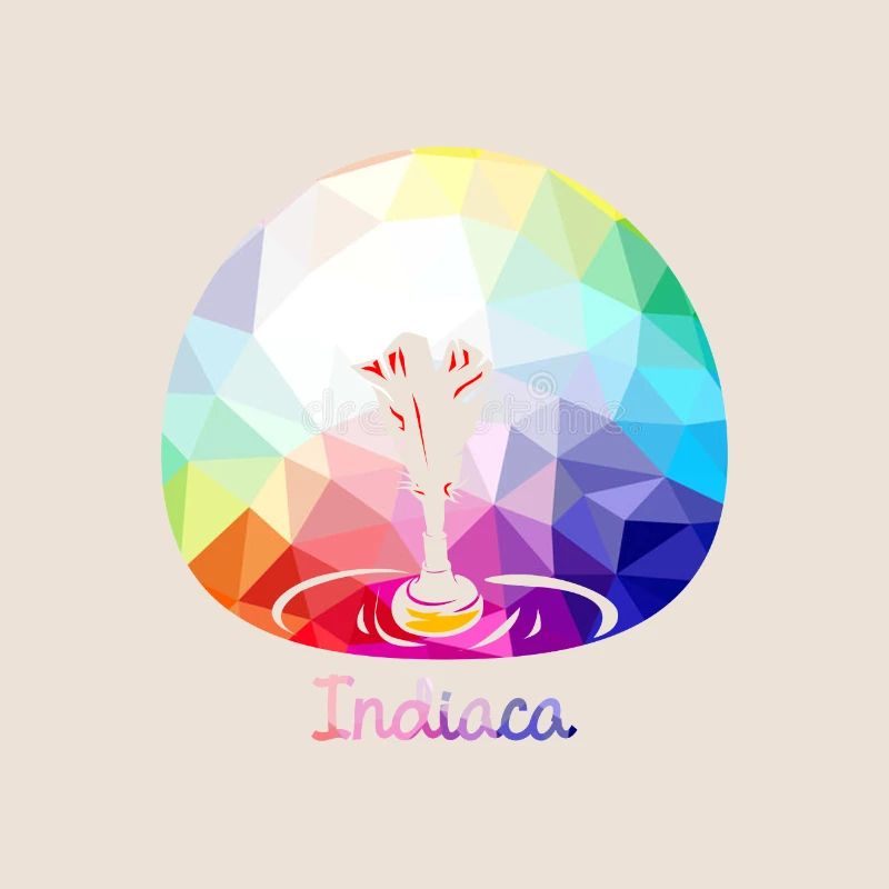 Indiaca check-in game leisure gift idea