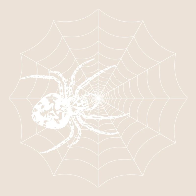 Spinne