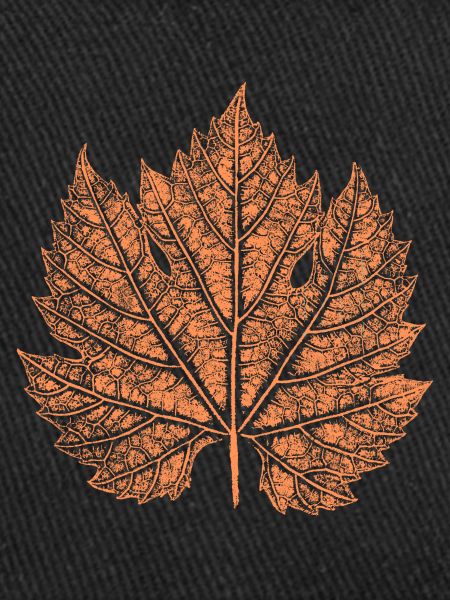 Wine / Leaf / Autumn