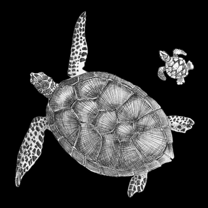 Seaturtles