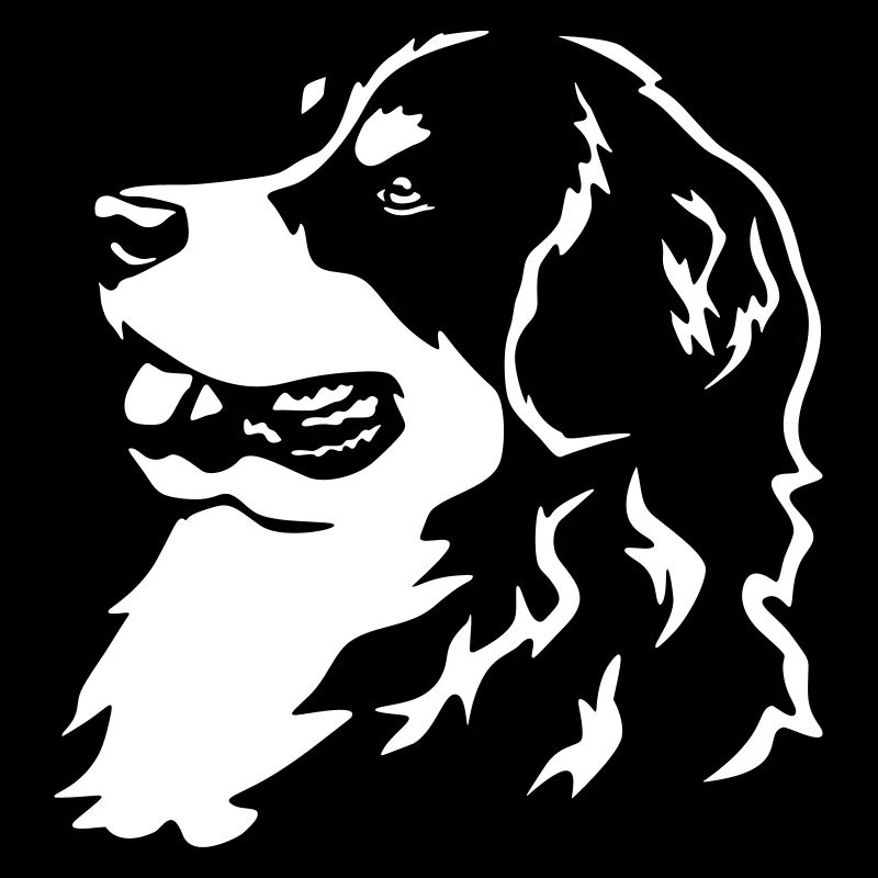 Berner Sennenhund Kopf "Black Edition"