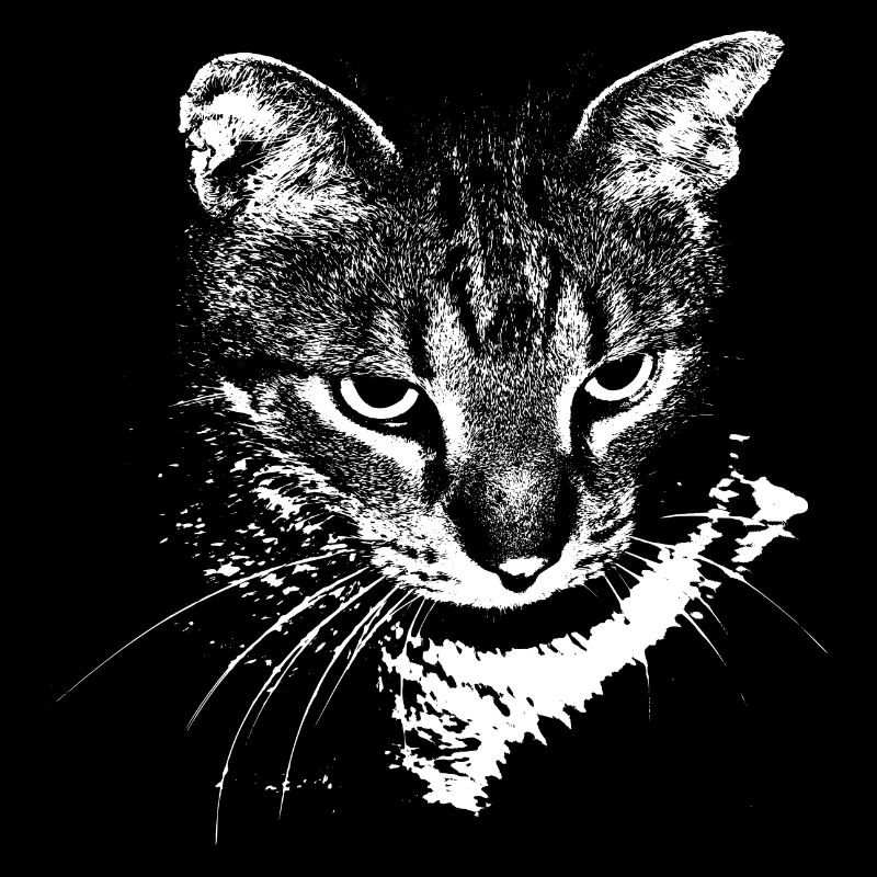 Chat Chat Chat Chat Chemise Cadeau