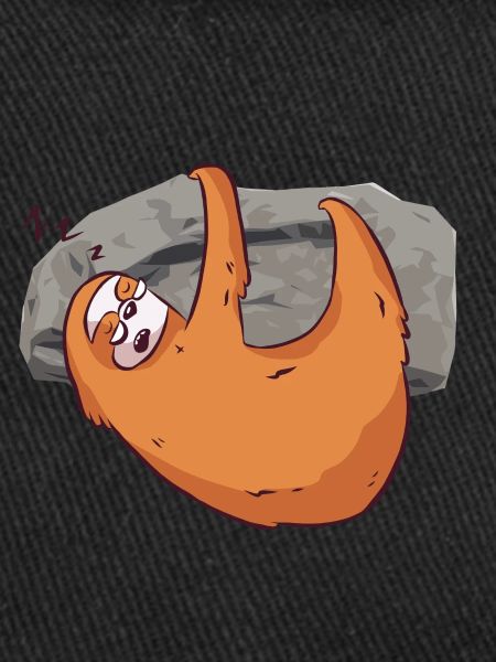 Bouldering sloth