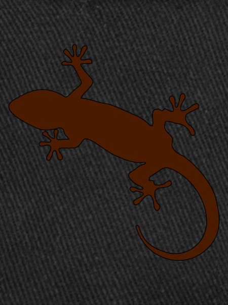 Gecko