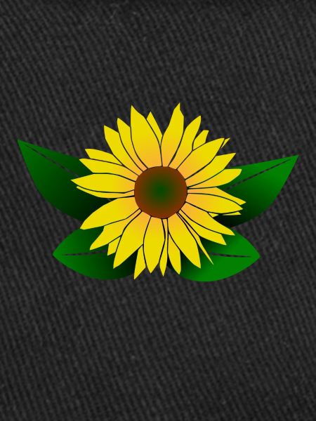Sunflower, sunflower