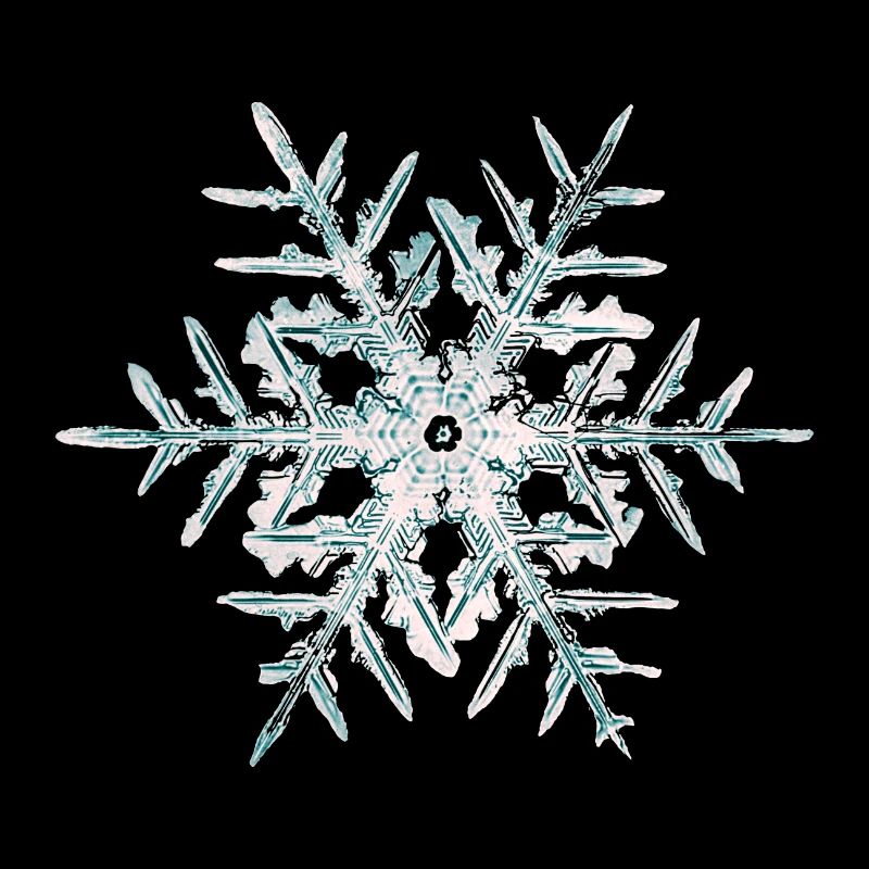 Cristaux de neige