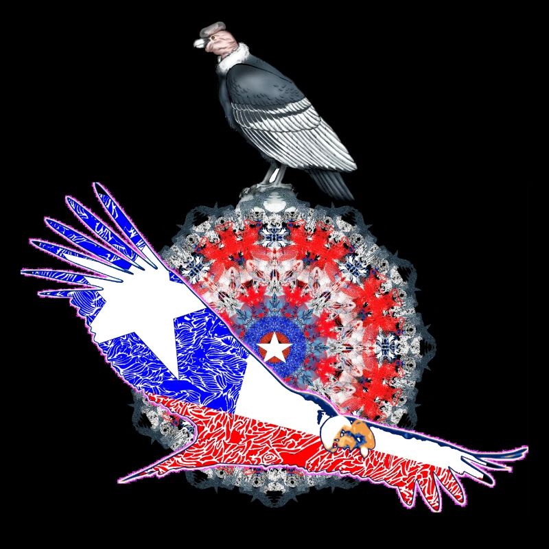Branco rojo y azul con la estrella 03