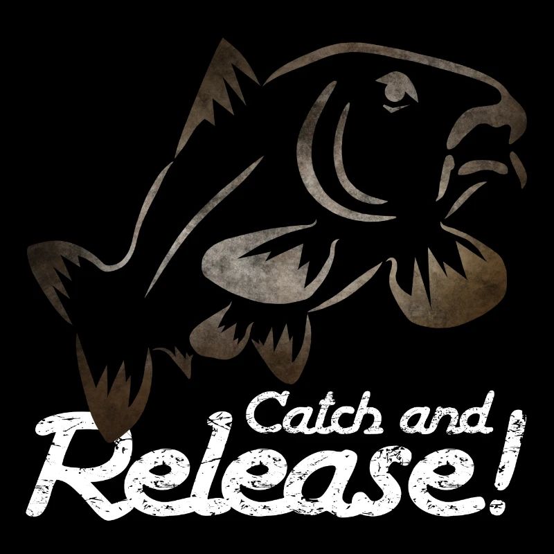 Catch and release - Pêche à la carpe