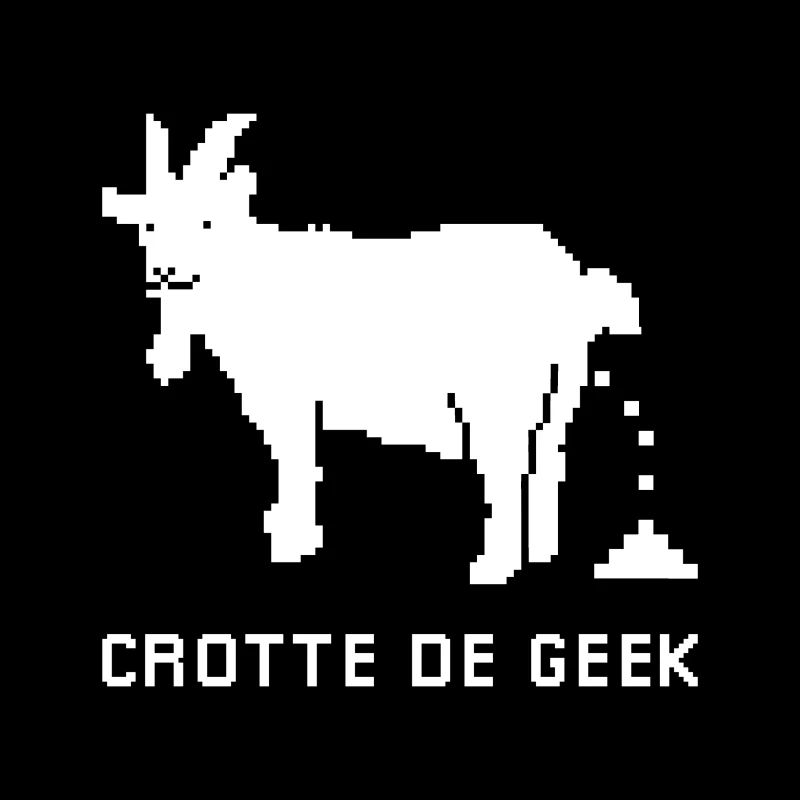 CROTTE DE GEEK ! (informatique, jeux video)
