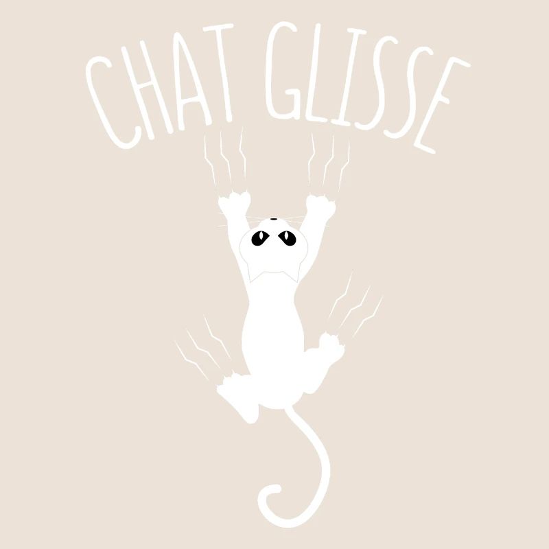Chat glisse !