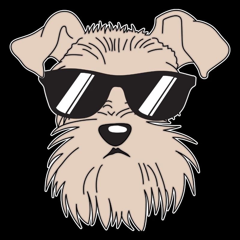 Schnauzer cool avec lunettes de soleil