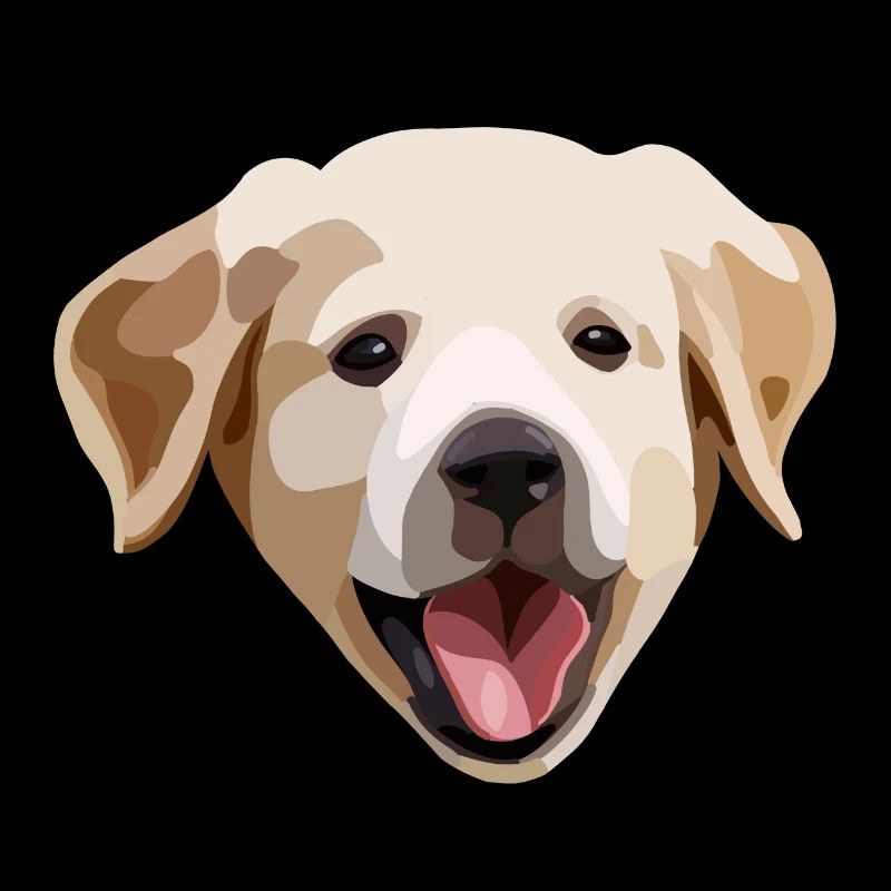 Golden Retriever / Chiot Labrador