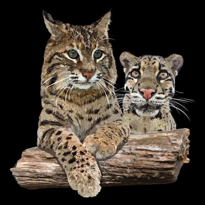 Lynx et léopard nuageux