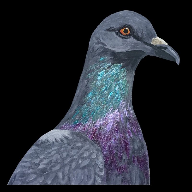 Colombe