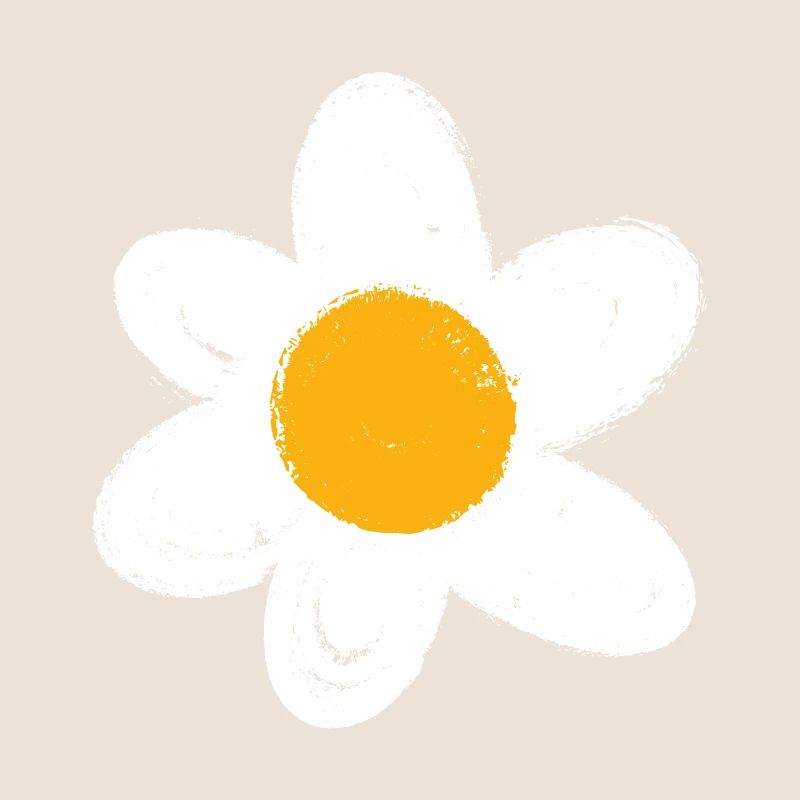 Gänseblümchen - Blume