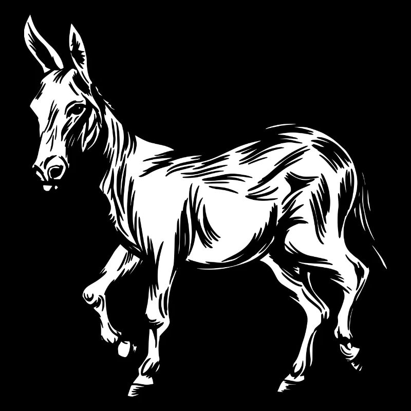 Mule d’âne