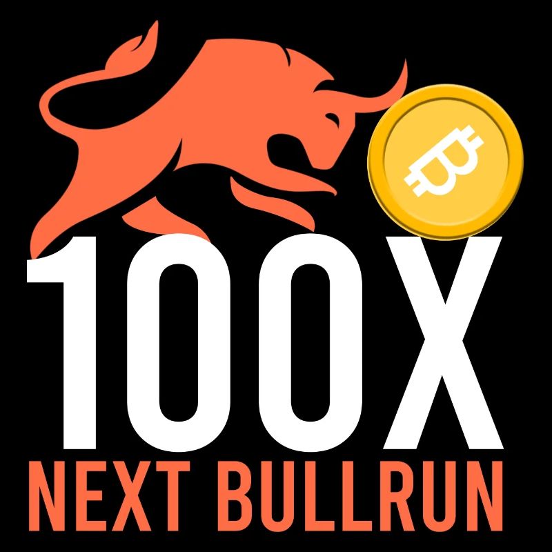 100x prochain Bullrun