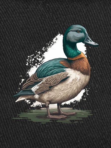 Ami canard