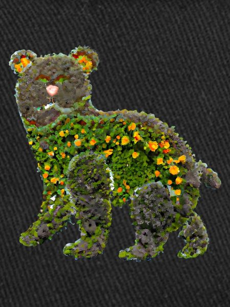 Flower Bear Bear Flowers