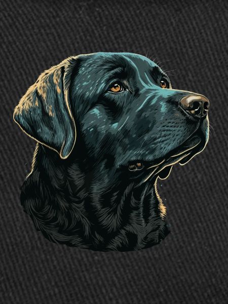 Labrador Retriever bleu foncé