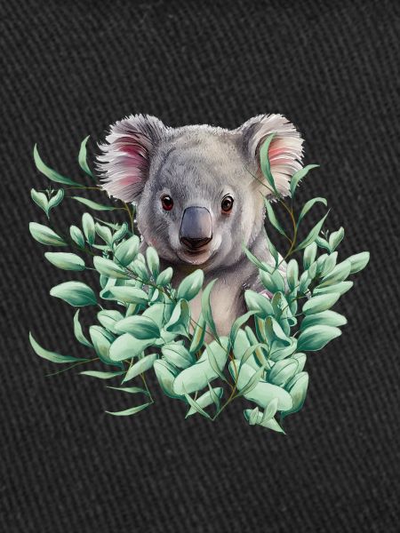 Koala Ours