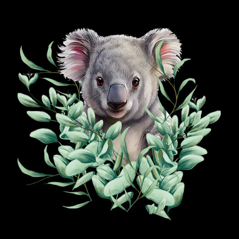 Koala Ours