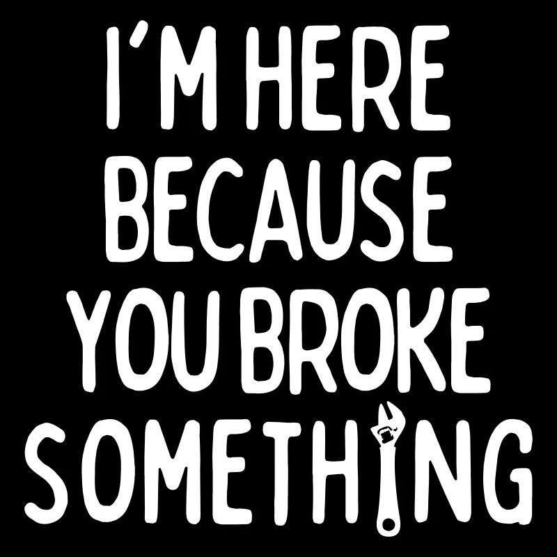 Im Here Because You Broke Something