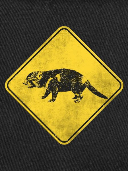 Tasmanian devil