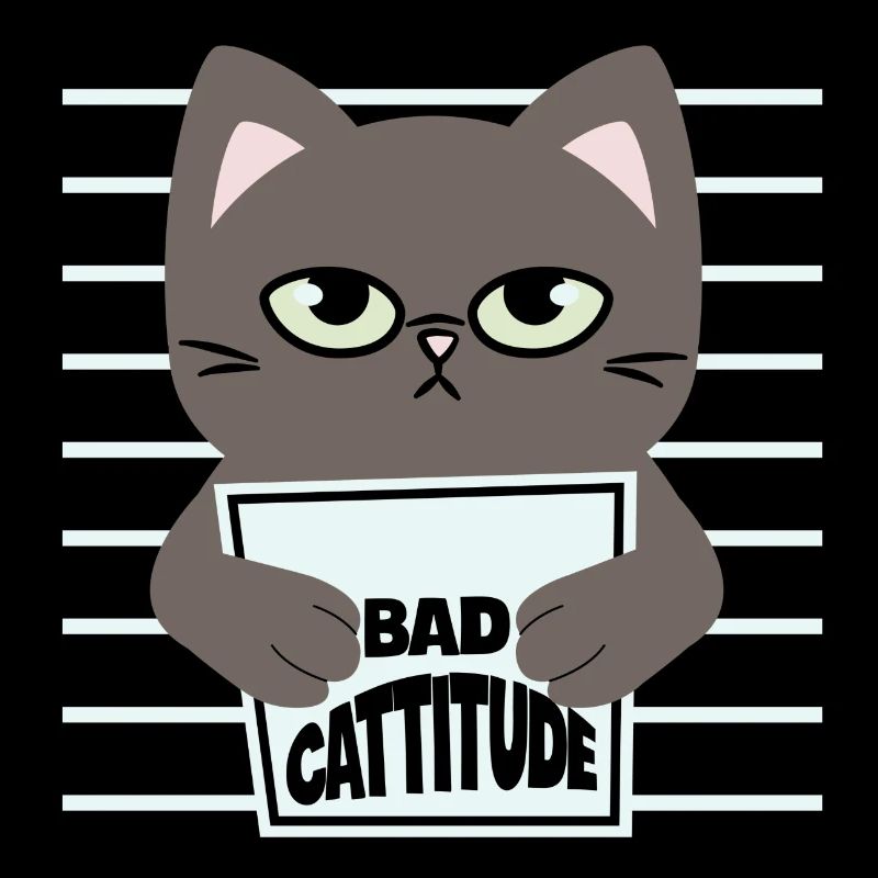 katze, niedliche katze, süße katze, katze