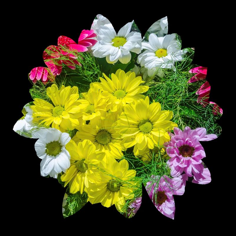 Des fleurs sur des fleurs