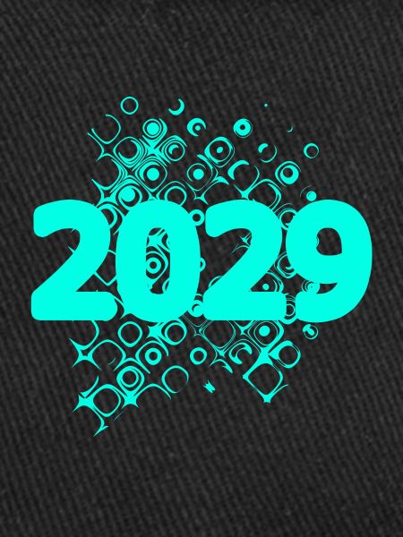 2029 2029